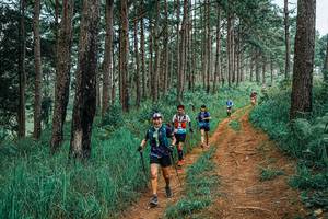 BIB: 
                            <button type="button" onclick="openModal(25662834)" class="btn btn-primary btn-sm float-right btn-popup" data-toggle="modal" data-target=".modal-high-quality">
                        <i class="fas fa-shopping-cart"></i> Add to Cart
                    </button>
                                            <button type="button" onclick="isThisMe(25662834, true)" class="btn btn-success btn-sm float-right btn-popup btn-isme hidden" data-toggle="tooltip" data-placement="bottom" title="นี่คือรูปของคุณใช่ไหม คลิกที่นี่เพื่อเอาเข้าอัลบั้ม">
                        <i class="fas fa-plus"></i> Add to album
                    </button>
                    <button type="button" onclick="isThisMe(25662834, false)" class="btn btn-warning btn-sm float-right btn-popup btn-isnotme hidden">
                        <i class="fas fa-ban"></i> Remove from album
                    </button>